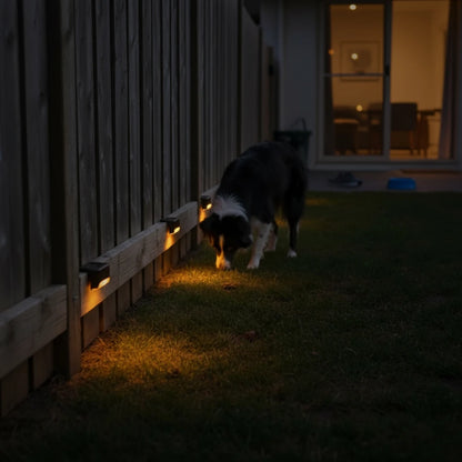 Outdoor Solar Lights Set